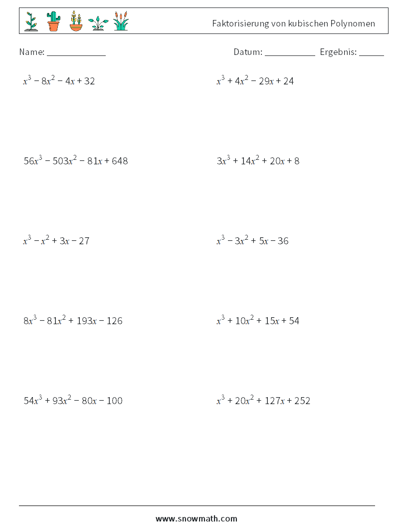 Faktorisierung von kubischen Polynomen Mathe-Arbeitsblätter 6