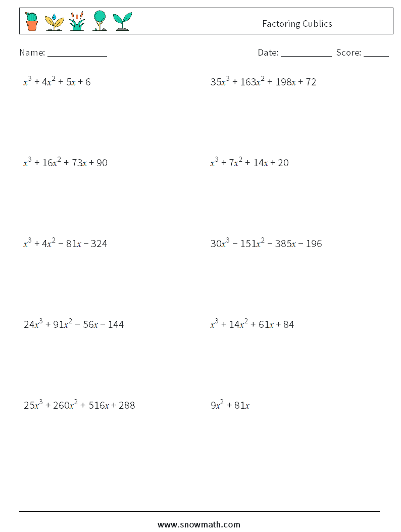 Factoring Cublics Math Worksheets 6