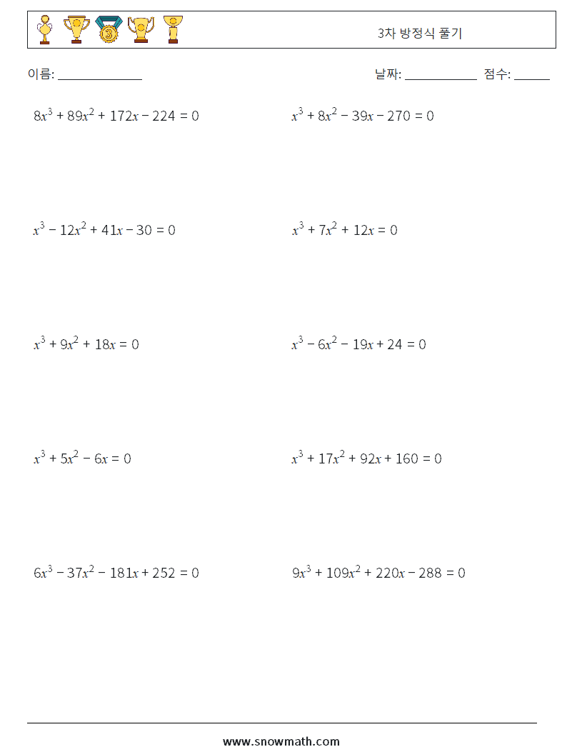 3차 방정식 풀기 수학 워크시트 6