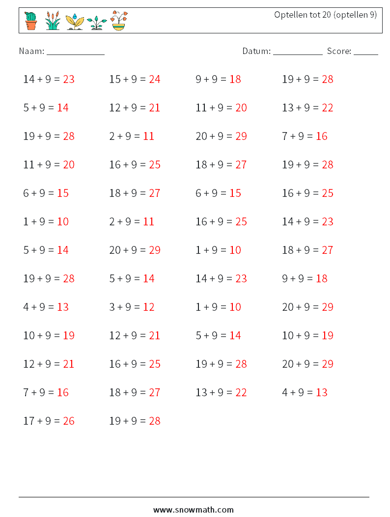 (50) Optellen tot 20 (optellen 9) Wiskundige werkbladen 5 Vraag, Antwoord