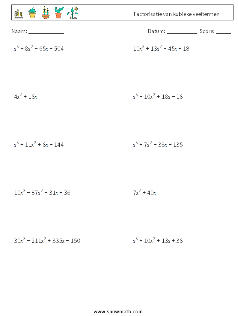 Factorisatie van kubieke veeltermen Wiskundige werkbladen 3