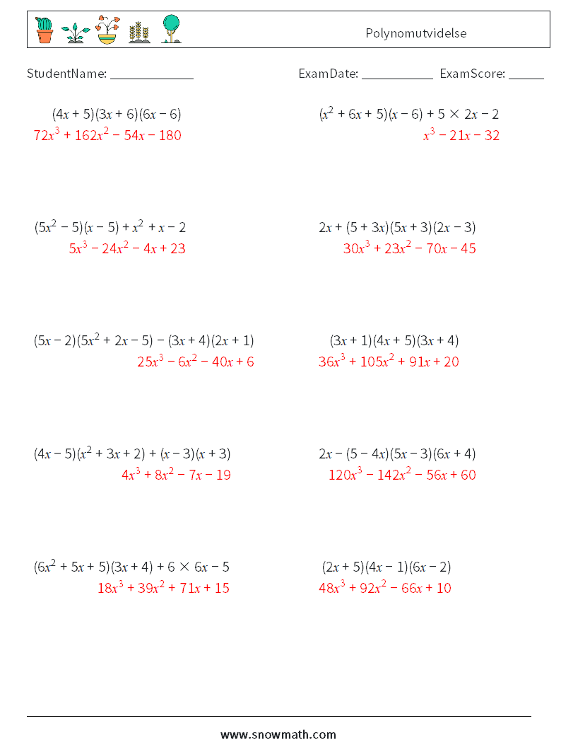 Polynomutvidelse MathWorksheets 2 QuestionAnswer