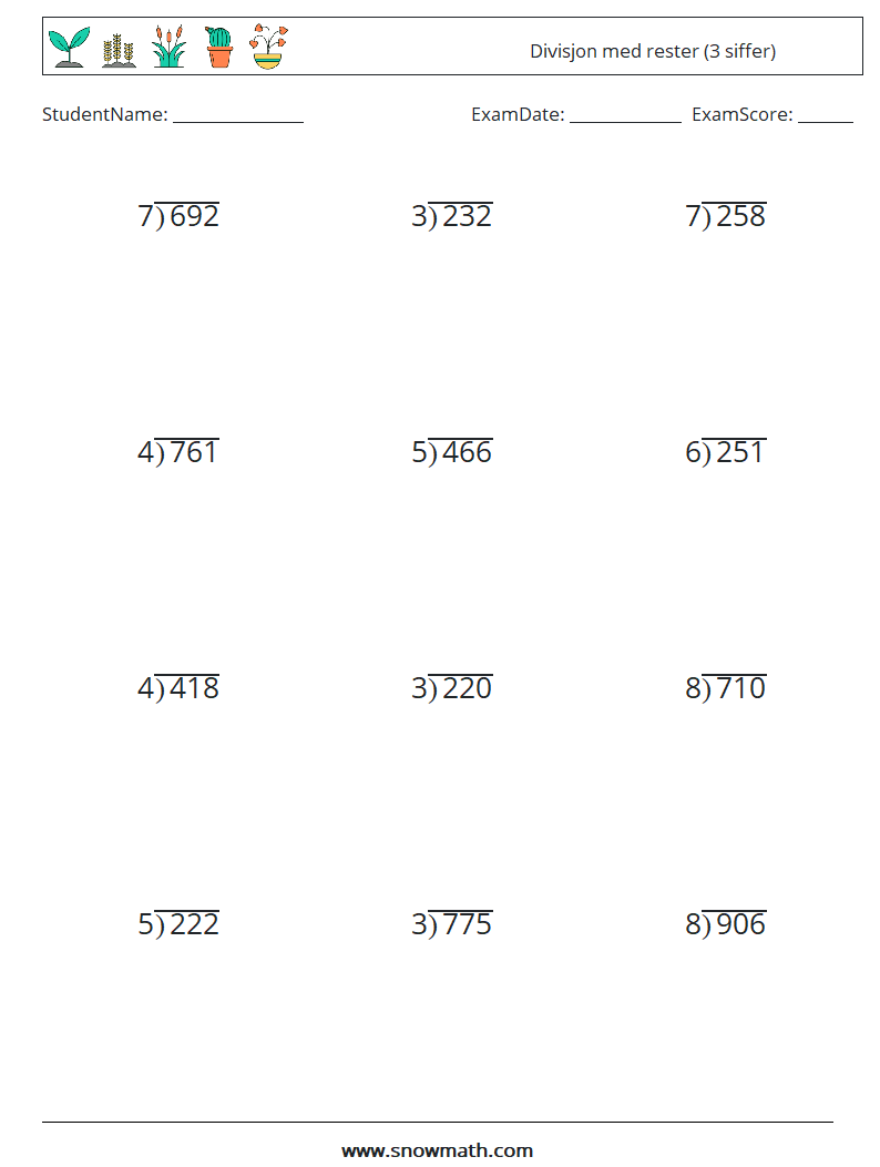 (12) Divisjon med rester (3 siffer) MathWorksheets 17