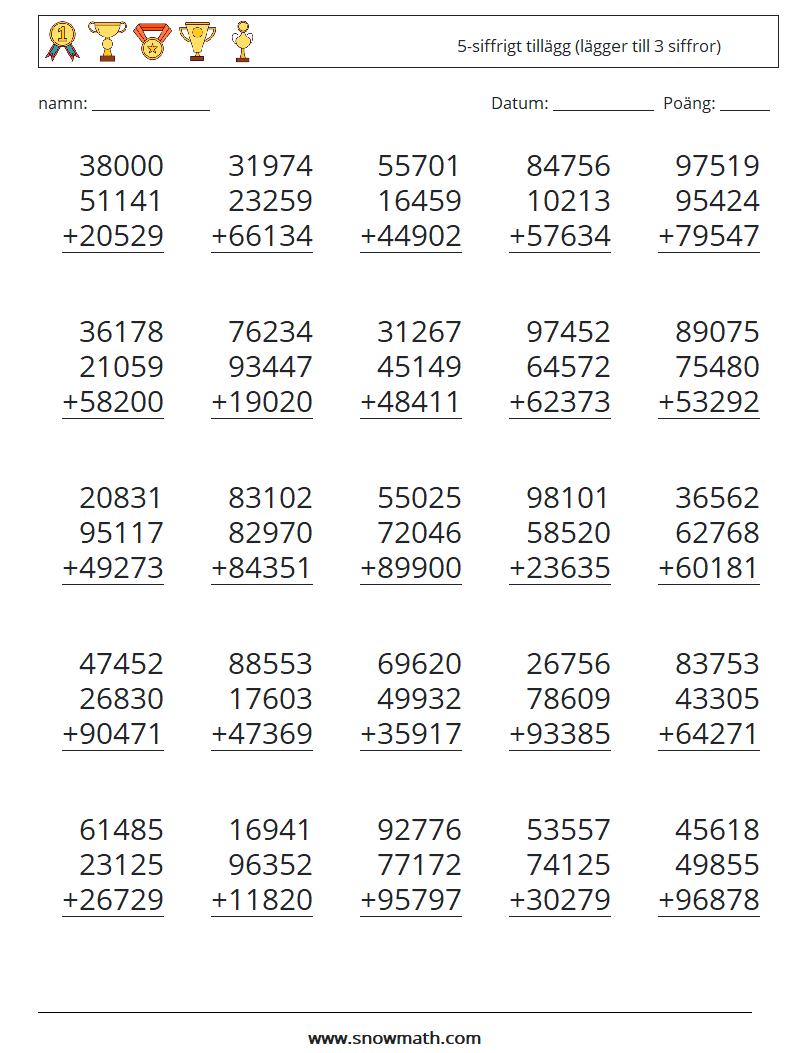 (25) 5-siffrigt tillägg (lägger till 3 siffror) Matematiska arbetsblad 6