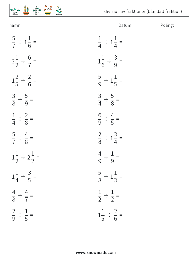 (20) division av fraktioner (blandad fraktion) Matematiska arbetsblad 13